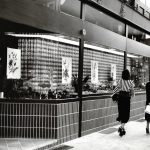 Behrens Optik - Historische Bilder